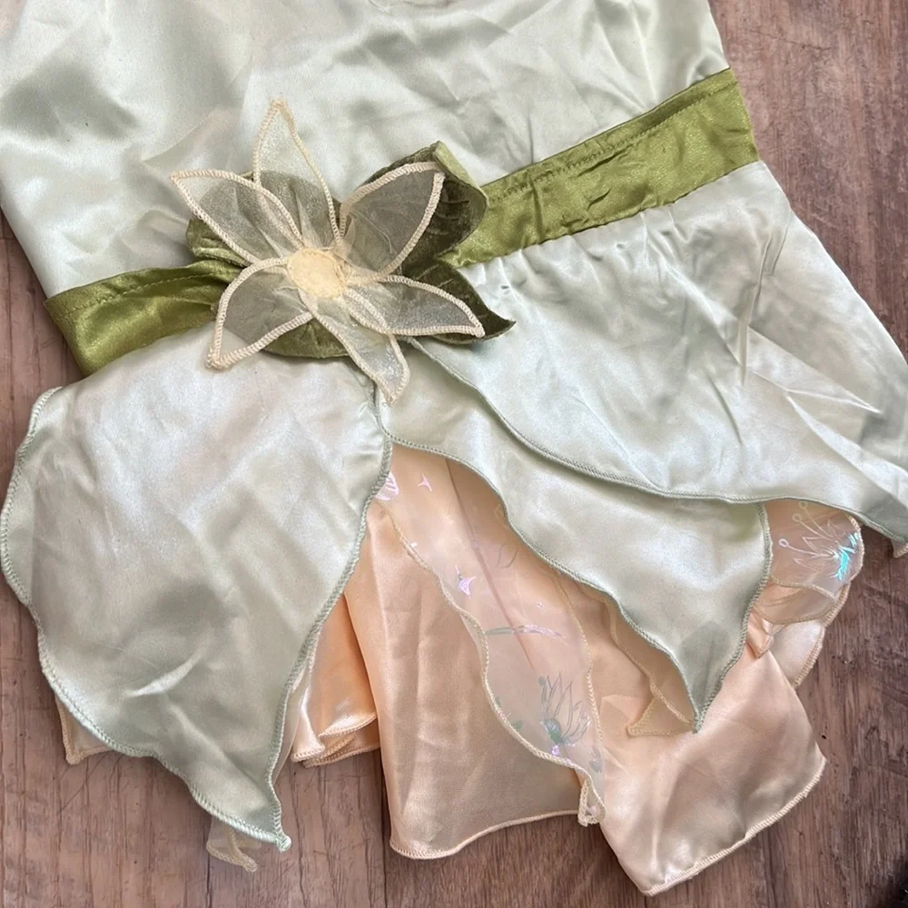 Disney Tails The Princess and the Frog Tiana Dog and Cat Costume Size Large